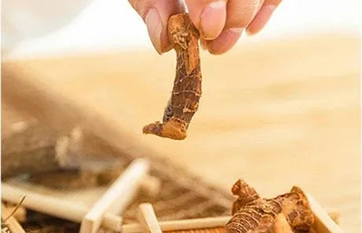 夏日三伏，教你如何科學(xué)養(yǎng)生，飲食指南讓你健康又消暑…